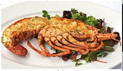 Whole Cooked Rock Lobster, For Food, Human Consumption, Feature : Good Protein