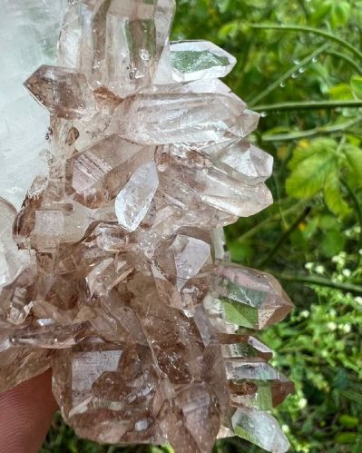 Smoky Himaliyan Quartz, Form : Crystals