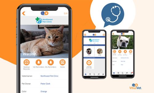 Vitusvet Healthcare Services