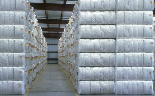 Cotton Bales