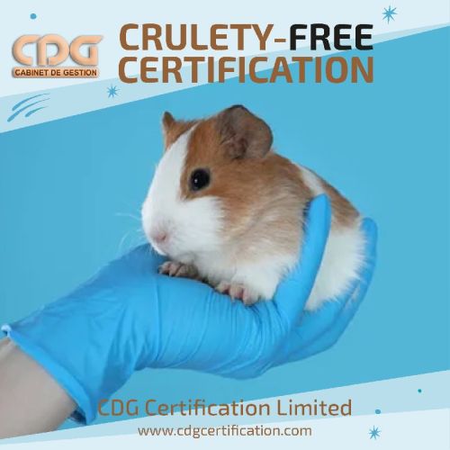 Cruelty Free Certification In Hyderabad