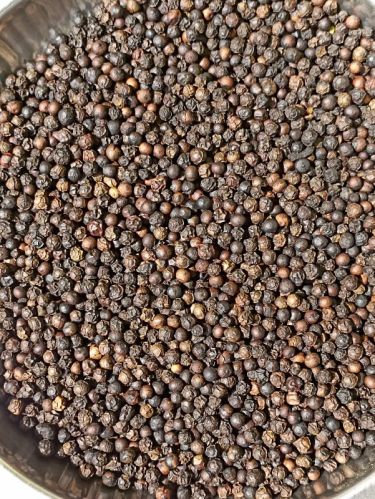 Black Pepper Seeds, Specialities : Good Quality, Long Shelf Life, Non Harmful, Rich In Taste