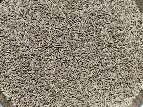 Cumin seeds, Packaging Size : 50kg