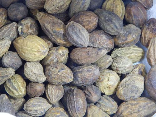 Natural Harida Seeds, For Medicinal, Agriculture, Style : Raw