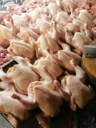 Frozen Whole Chicken, Certification : ISO-9001: 2008