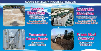 MICROBIAL CULTURE FOR SUGAR & DISTILLERY INDUSTRIES