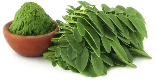 Jiya Nutraherbs Moringa Leaf Extract, Color : Green