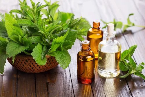 Jiya Nutraherbs Peppermint Oil, Feature : Mental Fatigue, Purity, Relieve Back Pain