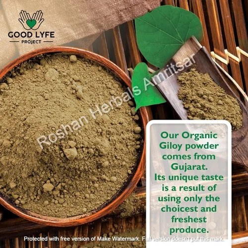 Good Lyfe Giloy Powder, For Medicine, Purity : 100%