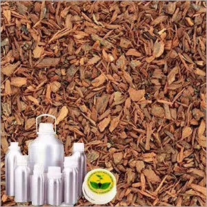 Cascarilla Bark Oil