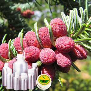 Fir Balsam Oil