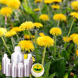 Helichrysum Absolute Oil