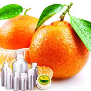 Tangerine Oil