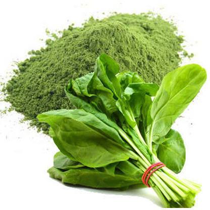 Natural Spray Dried Spinach Powder, Packaging Type : Plastic Packet