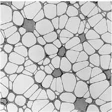 Lacey Carbon Films On H7 Finder Grid. Copper (Pack Of 50)