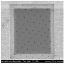 Quantifoil 1um Dia (4.0um) 200 Mesh Nickel 10 Pk