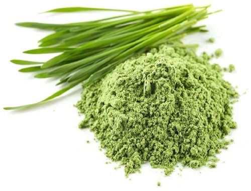 Nutranip Wheatgrass Powder, Shelf Life : 6 Months