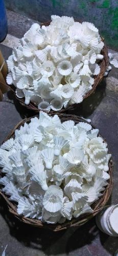 Shuttle Cocks, For Badminton, Racket, Tournament, Feature : Crack Resistance, Durability, Water Resistance