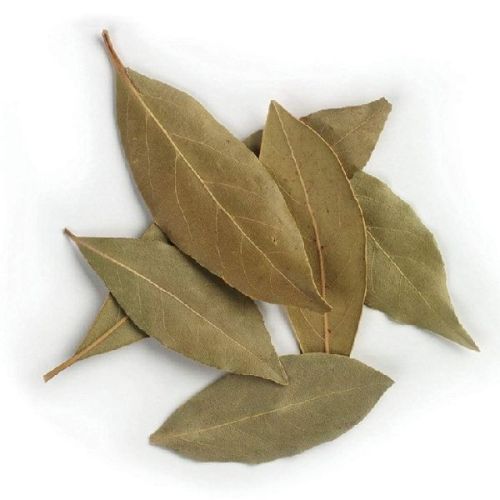 Dry Bay Leaf, Shelf Life : 6 Months