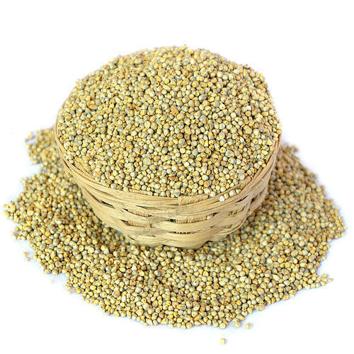 Organic Pearl Millet Seeds, Packaging Type : Gunny Bag, Plastic Bag