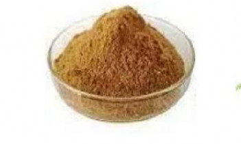 Tulsi Dry Extract- Ocimum Sanctum, For Medicinal, Form : Powder