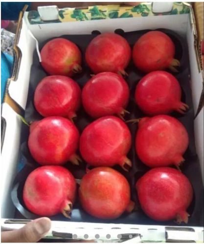 Common Pomegranate, Style : Fresh