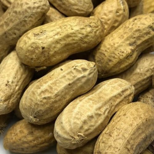 Natural Shelled Peanuts, For Making Flour, Making Oil, Packaging Size : 1-5kg