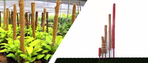 Coir Poles, For Garden, Size : Standard