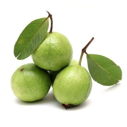 Organic Fresh Guava, Certification : FSSAI Certified