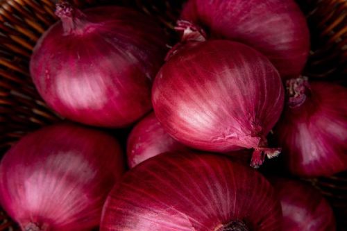 Round Organic Fresh Onion, For Cooking, Style : Natural