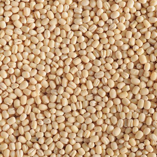 Organic Urad Dal, For Cooking, Certification : FSSAI Certified