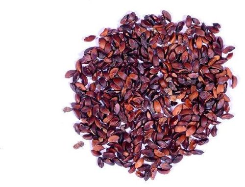 Organic Amla Seeds, For Hair Oil, Medicine, Skin Products, Feature : Clean