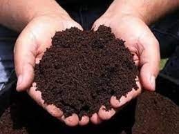 Organic Cow-dung Vermicompost Fertilizer, For Agriculture, Purity : 99.9%