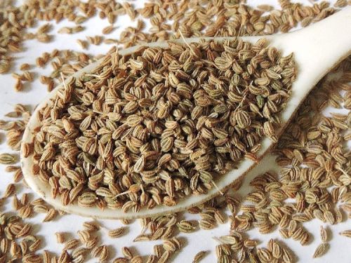 Organic Carom Seeds, Color : Brown