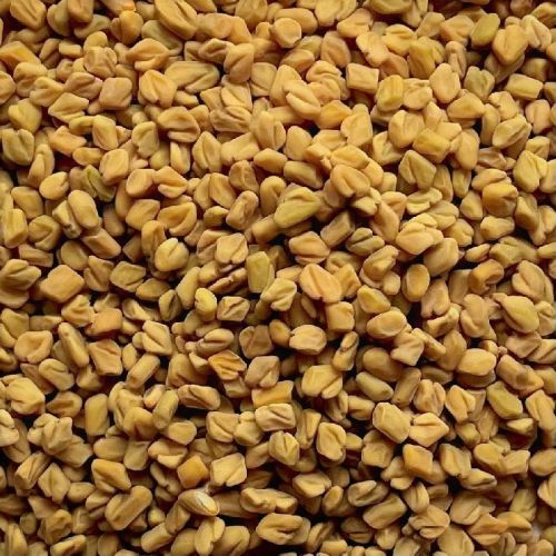 Organic Fenugreek Seeds, Color : Yellow