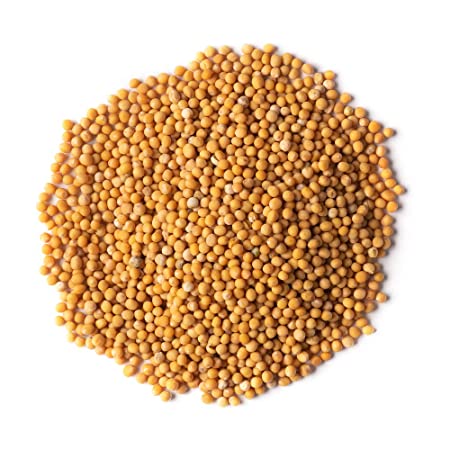 Organic Yellow Mustard Seeds