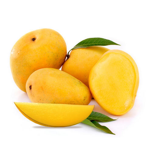 Organic Fresh Alphonso Mango, Color : Yellow