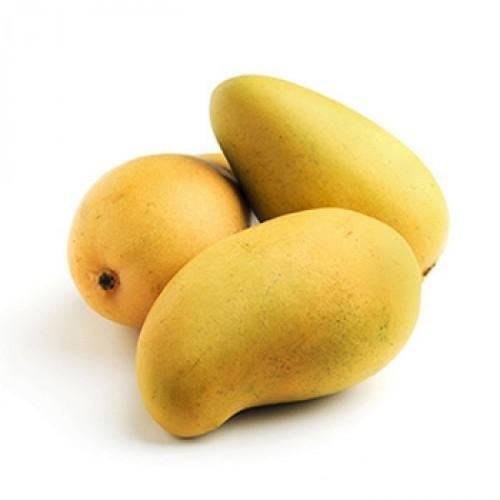 Organic Fresh Kesar Mango, Color : Yellow