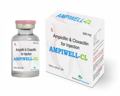 Ampicillin and Cloxacillin Injection