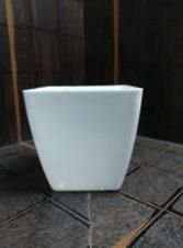 Polished Plain 6 Inch CNS Pot, Feature : Easy To Placed