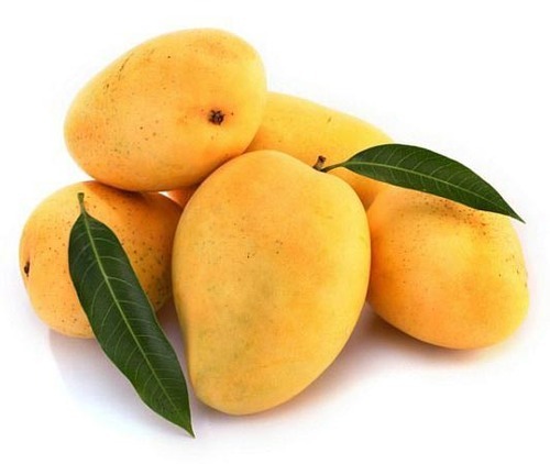 Natural Fresh Mango,fresh Mango, Packaging Type : Paper Box