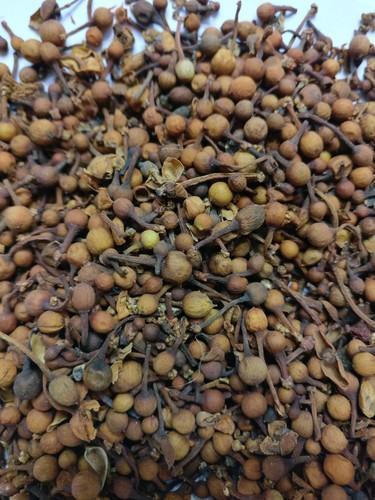 Organic Nagkesar Seeds, Style : Dried