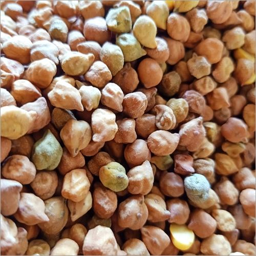 Organic Gram Seeds, For Cooking, Certification : FSSAI Certified