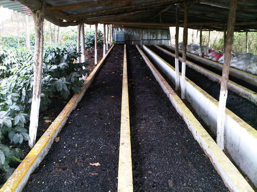 Vermicompost Plant Consultancy