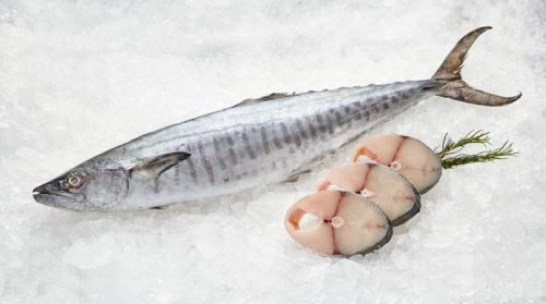 Frozen King Mackerel Fish, Packaging Type : Thermocole Box