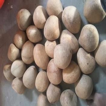 Common Copra Nuts, Taste : Sweet