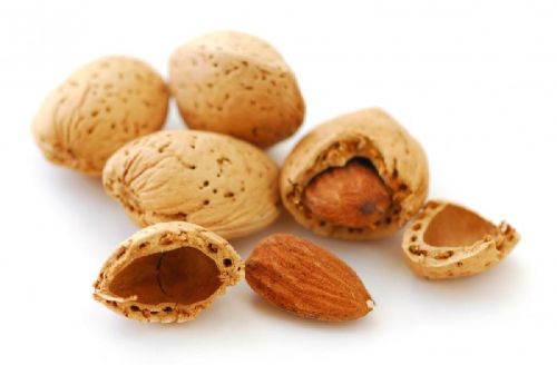 Hard Organic Almond Nuts, Shelf Life : 2years