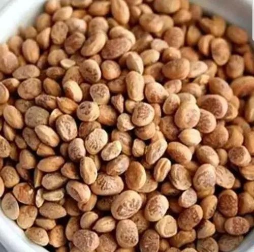 Organic Charoli Seeds, Certification : FSSAI