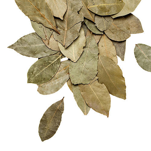 Organic Dried Bay Leaves, Packaging Type : Plastic Packet