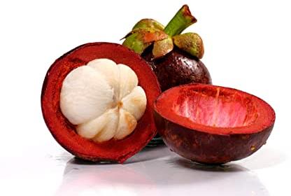 Garcinia Indica Fruit, Packaging Type : PP Bags